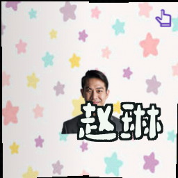 赵琳